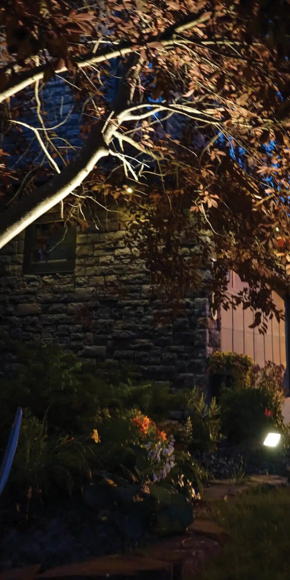 Customizable outdoor lighting in West Edmonton